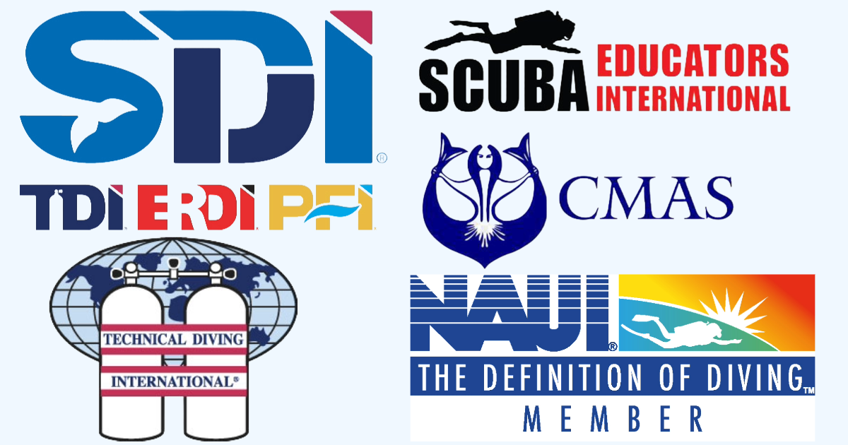 Scuba Agency Logos
